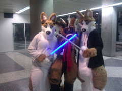 furries photo